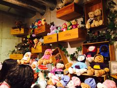 -济州岛泰迪熊博物馆