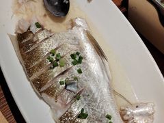 -阳光家常菜(泉城路店)