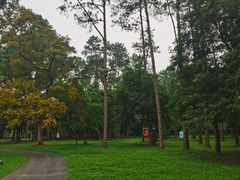 -南宁良凤江国家森林公园