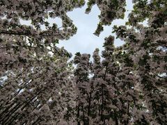 -天津东丽湖风景区