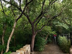 -元大都城垣遗址公园