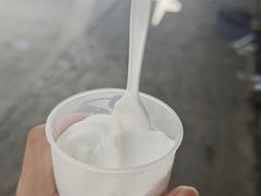 -洪馨椰子