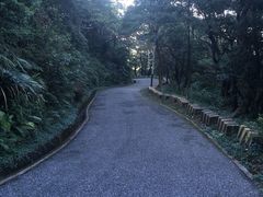 -广州市帽峰山景区