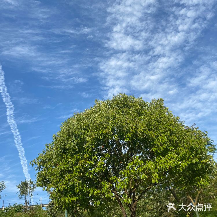 第一次来盘子女人坊拍照，服务真的很周到，还有水果吃