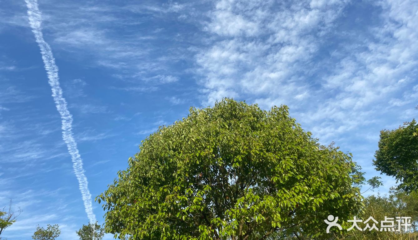 第一次来盘子女人坊拍照，服务真的很周到，还有水果吃