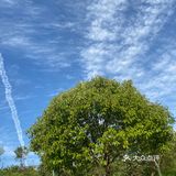 第一次来盘子女人坊拍照，服务真的很周到，还有水果吃