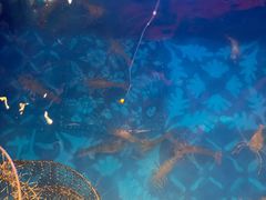 -钳真多钓虾馆·小龙虾海鲜烧烤(九六广场店)