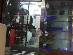 跃通3M授权金牌店-跃通XPEL超级旗舰店(浦东店)