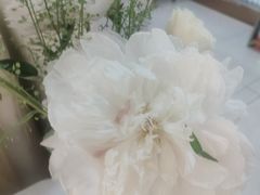 -晶雅花园西餐厅(南京首店)