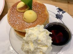 -Elephant Grounds(STARSTREET)