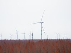 -黄海国家森林公园