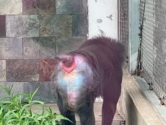 -哈尔滨北方森林动物园