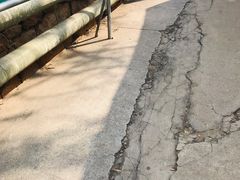 -春风十里咖啡馆