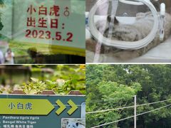 -宁波野生动物园