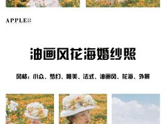 -苹果摄影(顺德华侨城店)