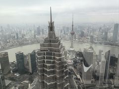 -上海柏悦酒店·世纪100牛排馆
