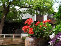 -黎里古镇