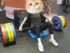 -MEGA BASE 健身馆(南山店)