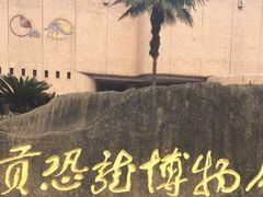 -自贡恐龙博物馆