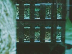 -广东中医药博物馆