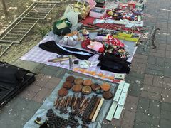 -千里堤花鸟鱼虫市场(天津红桥区店)