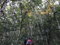 -白草畔自然风景区