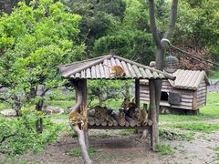 -上海野生动物园