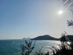 -广东惠东海龟国家级自然保护区