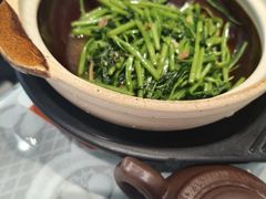 -熠盛粤味·顺德桑拿鸡(永康路店)