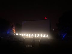 -枫花园汽车电影院(朝阳公园店)