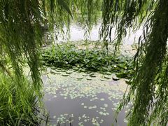 -长春市南湖公园