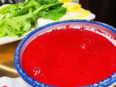 鲜鸭血-红鼎坊·老成都火锅(新南门店)