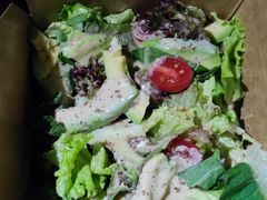 -枫花园汽车电影院(朝阳公园店)