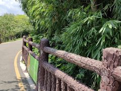 -贵阳市花溪国家城市湿地公园
