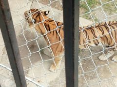 -石家庄市动物园