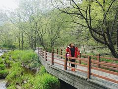 -洛阳白云山景区