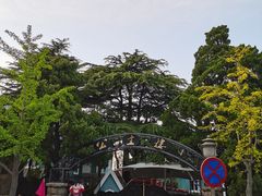 -八大关景区
