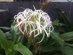 -柬埔寨国家博物馆