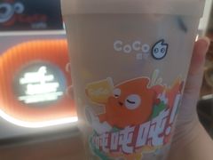-CoCo都可(福州宝龙广场店)