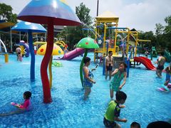 -苏州乐园森林水世界