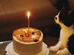 -浮光之丘MontCake生日蛋糕(花牌坊店)