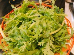 -鲜入围煮花胶鸡海鲜火锅