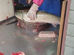 -梅记大块头爆鱼店(乍浦路店)