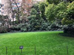 -Nathalie Djurberg与Hans Berg“牛皮纸包裹的月亮”-Prada荣宅当季展览