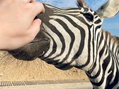 -杭州野生动物世界