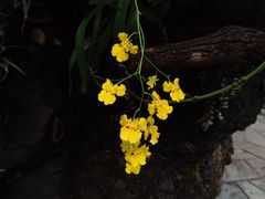 -北京植物园-展览温室