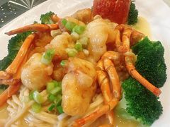 -千灯盛汇·头牌粤菜(致越优城店)