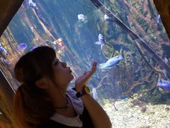 -华夏文旅海洋公园