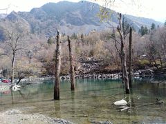 -叠溪松坪沟景区