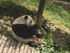 -黔灵山公园